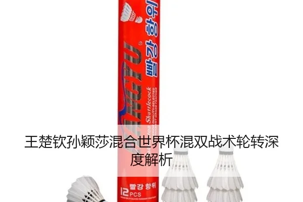 wang-chu-qin-sun-ying-sha-hun-he-shi-jie-bei-hun-shuang-zhan-shu-lun-zhuan-shen-du-jie-xi-2-620.jpg