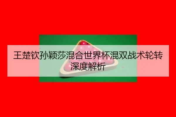 wang-chu-qin-sun-ying-sha-hun-he-shi-jie-bei-hun-shuang-zhan-shu-lun-zhuan-shen-du-jie-xi-3-293.jpg