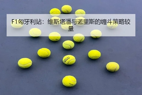 xiong-ya-li-zhan-wei-si-ta-pan-yu-nuo-li-si-de-chan-dou-ce-lve-jiao-liang-2-253.jpg