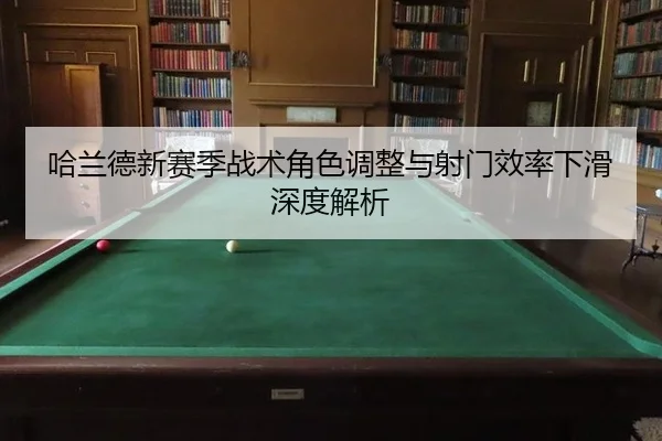 ha-lan-de-xin-sai-ji-zhan-shu-jue-se-tiao-zheng-yu-she-men-xiao-lv-xia-hua-shen-du-jie-xi-3-204.jpg