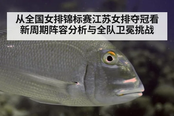 从全国女排锦标赛江苏女排夺冠看新周期阵容分析与全队卫冕挑战
