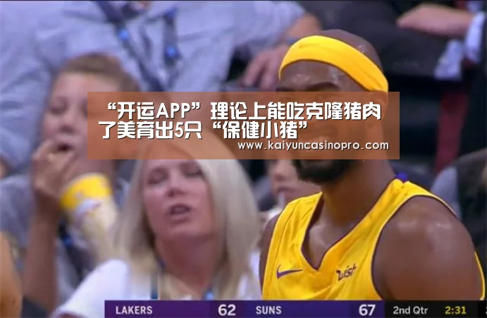 开运登录