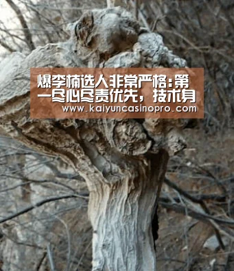 开运下载
