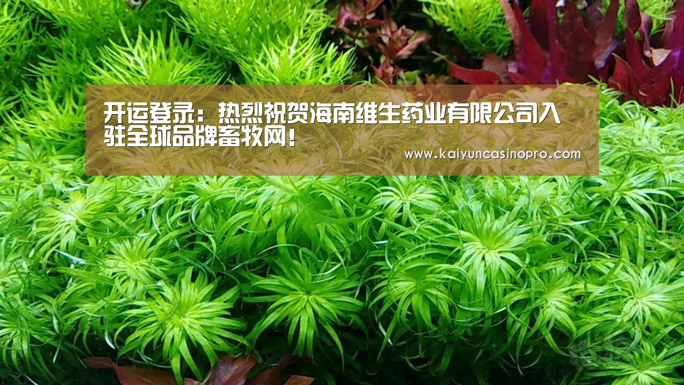 开运APP