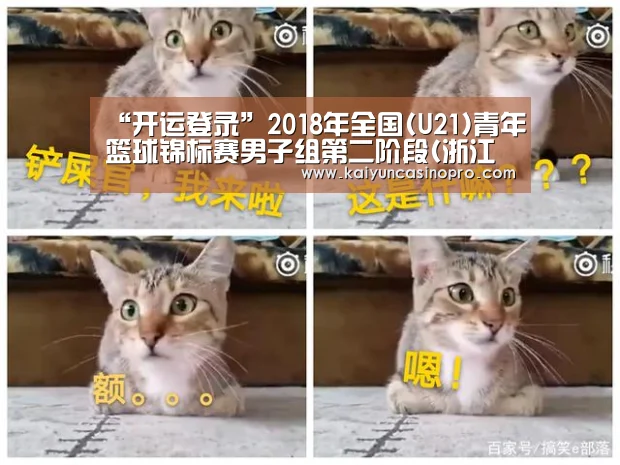 “开运登录”2018年全国(U21)青年篮球锦标赛男子组第二阶段(浙江嘉兴赛区)补充函(图1) 开运登录