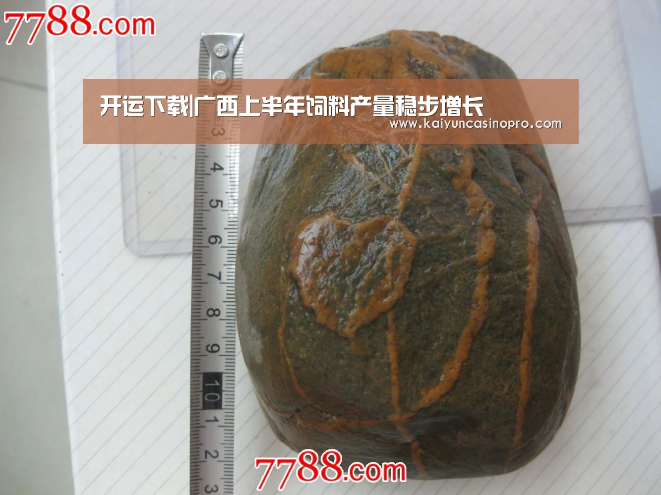 开运下载|广西上半年饲料产量稳步增长(图3) 开运娱乐
