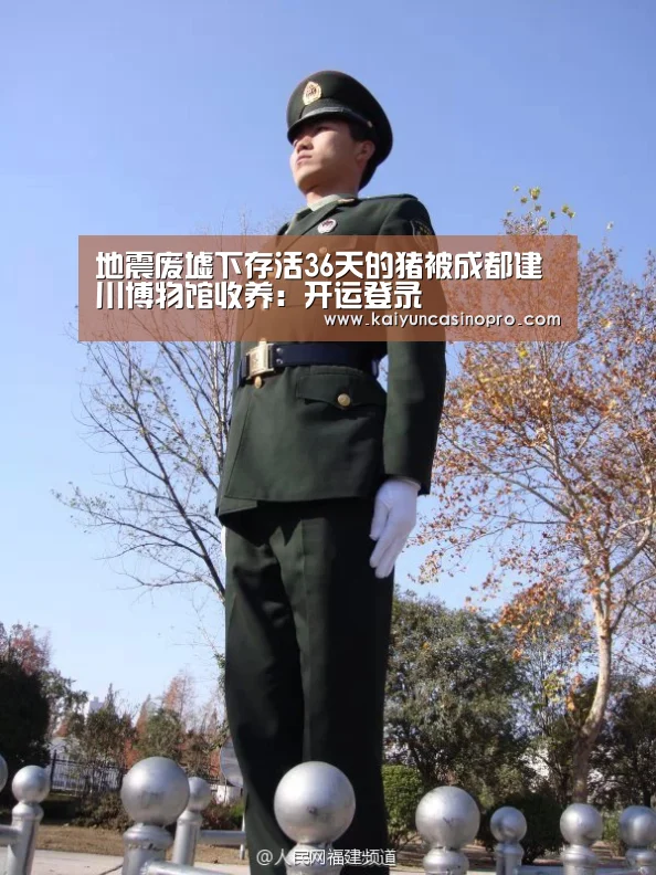 地震废墟下存活36天的猪被成都建川博物馆收养:开运登录(图4) 开运下载