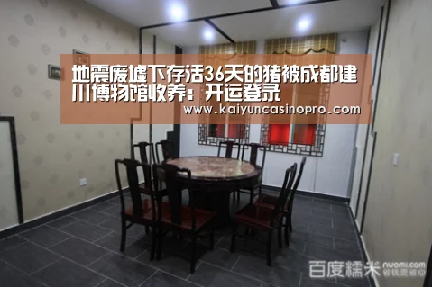 地震废墟下存活36天的猪被成都建川博物馆收养:开运登录(图2) 开运下载