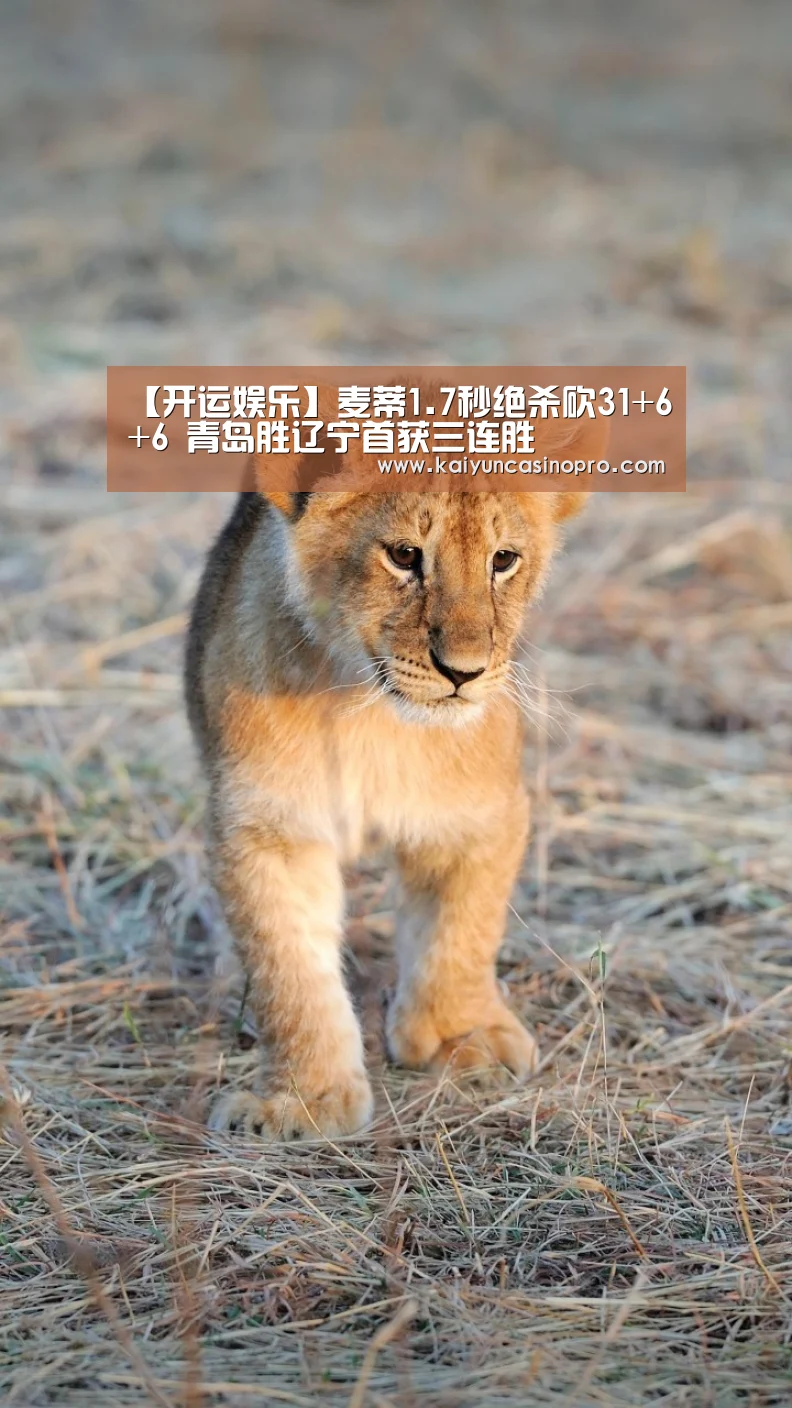 开运下载